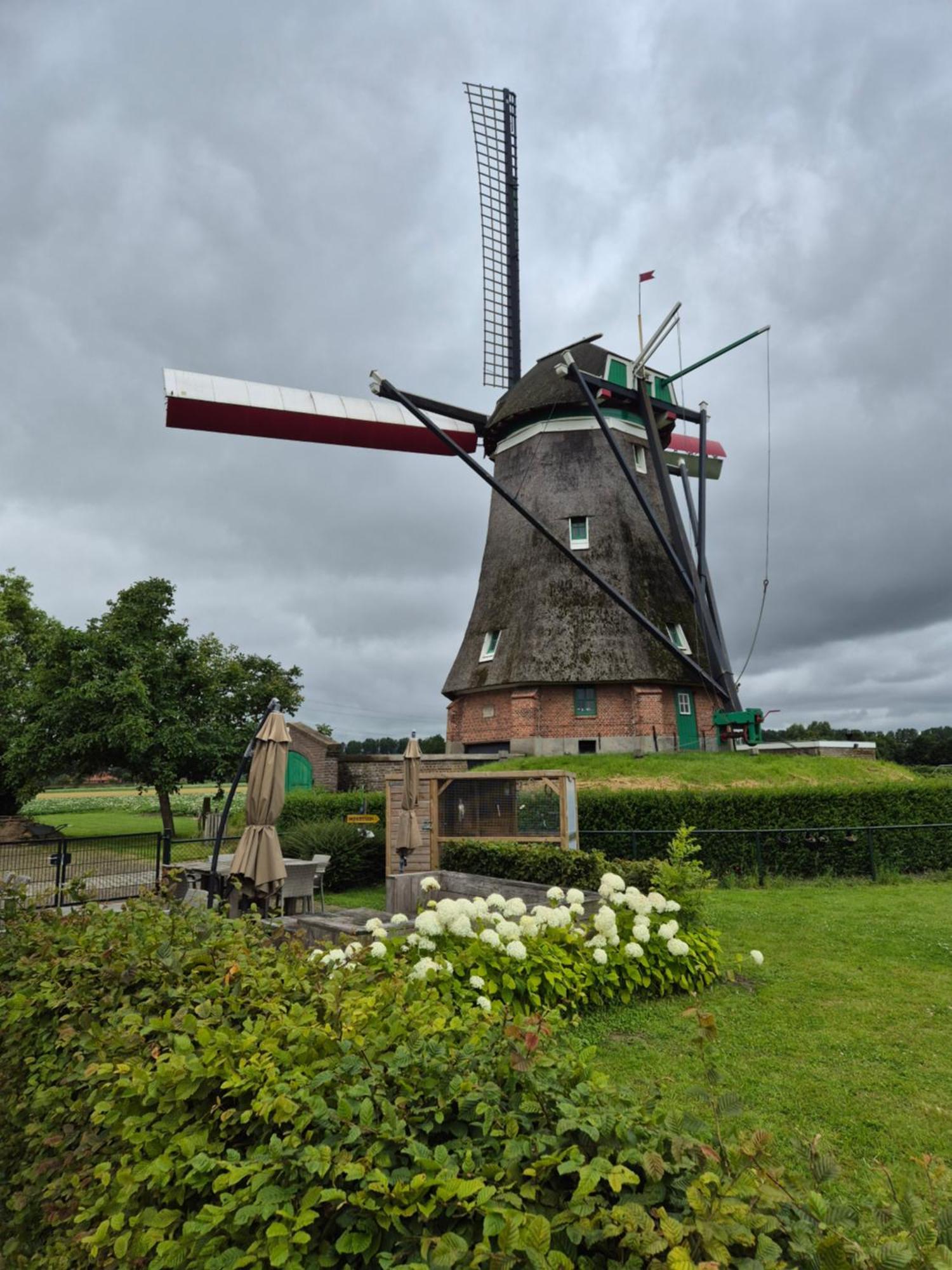 Landelijk Slapen Bij Molen In Ovezande 4C Zewnętrze zdjęcie